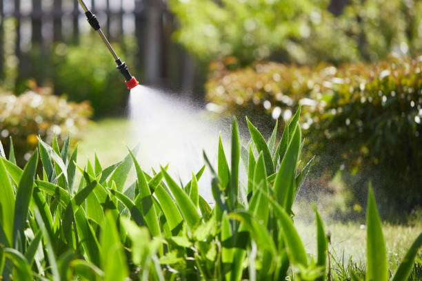 24/7 Emergency Mosquito Control experts in Stilwell, OK